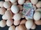 investment in organic egg with guatemalan money for healthy food