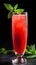 Invigorating tall glass of refreshing watermelon juice garnished with a sprig of fresh mint, a slice of juicy watermelon, and ice