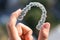 Invisalign braces or clear retainer