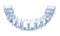 Invisalign braces or invisible retainer on white. Medically accurate dental 3D illustration