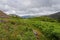 Almost invisible path bordered by bracken and heather In the hills above Beddgelert