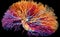 The invisible world of the human brain: a detailed 3D map shows 50,000 cells, 130 million synapses and reveals new patterns of