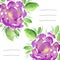 Invitation cards with watercolor blooming peonies. Use for notebook cover, brochure, flyer, invitations, wedding and thank you car