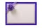 Invitation invite card blue border purple bow isolated white background