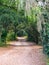 Inviting gravel path through a tunnel of lush greenery and spanish moss at Jungle Gardens, Avery Island, Louisiana