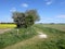 Inviting path in countryside by fields