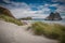 Inviting path Dune vegetation at Famous Wharariki Beach vintage