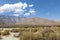 Inyo County Landscape