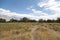 Inyo County Landscape