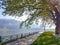 ioannina city lake area with platanus trees on ring road of lake pamvotis greece