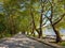 ioannina city lake area with platanus trees on ring road of lake pamvotis greece