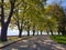 ioannina city lake area with platanus trees on ring road of lake pamvotis greece