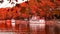 ioannina or giannena in autumn sesaon lake trees boats colors blue sky greece