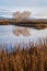 Iona Beach Regional Park Pond vertical