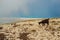 Ionian mediterranean sea coast landscape of Southern Albania view from top of Llogora mountain national park