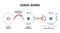 Ionic bond and electrostatic attraction from chemical bonding outline diagram