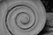 Ionic column marble spiral