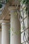 Ionic Columns with vines in courtyard