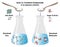 Ionic versus Covalent Compounds in solution