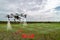 Iot smart agriculture industry 4.0 concept, drone in precision farm use for spray a water, fertilizer or chemical to the field,