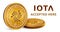 Iota. Accepted sign emblem. Crypto currency. Golden coins with Iota symbol isolated on white background. 3D isometric Physical coi