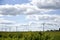 Iowa windmills and farm