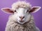 An iperealistic photo of a smiling sheep on a violet background closeup, dressed like a glamorous humanbeing