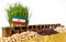 Iran flag waving with stack of money coins and piles of wheat