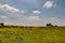 Ireland, Clonmacnoise National Monument. LR24