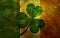 Ireland Flag with Shamrock Grunge Background Illustration