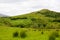 Ireland landscape. Magical Irish hills. Green island with sheep and cows on cloudy foggy day. Northern Ireland, County