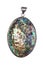 Iridescent abalone shell in pendant isolated