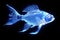 Iridescent Beauty: Transparent Fish Gleaming with Blue Luminescence, a Mesmerizing Underwater Spectacle in Lustrous Hues