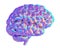 Iridescent Human Brain, Side View, 3D Illustration