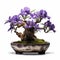 Iris Bonsai: Timeless Artistry In A Potted Purple Flower