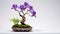 Iris Bonsai Tree: Traditional Japanese Artistry In A Gray Bowl