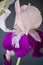 Iris Bud. artificial flower. Purple with feathers.