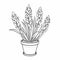 Iris Coloring Page: Easy-to-color Haworthia Fasciata Plant For Kids