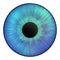 Iris of the eye. Human iris. Illustration of an eye. Creative graphic design