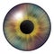 Iris of the eye. Iris of the human. Illustration of an eye. Creative digital design