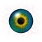 Iris eyes. Human iris with blood veins. Eye illustration. Blue eye. Creative digital design