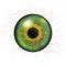 Iris eyes. Human iris with blood veins. Eye illustration. Green eye. Creative digital design