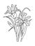 Iris February birth month flower line art.