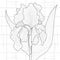 Iris flower.Coloring book antistress for children and adults.