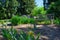 Iris Garden and Bench