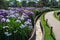 Iris garden, Japan Tokyo day