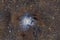 Iris Nebula NGC7023