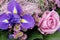 Iris and rose, details of a pretty bunch of flowers