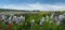 irises, in the foreground purple and yellow flowers, landscape of fields and groves in the valley