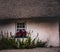 Irish classic and architecture: facade of a classic Irish cottage house with a straw roof and some flowers at the window. Wexford